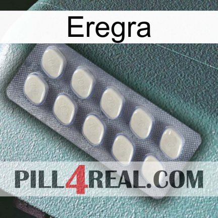 Eregra 08